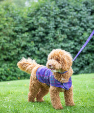Load image into Gallery viewer, Tartan Dog Coat