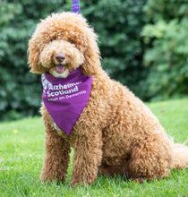 Load image into Gallery viewer, Alzheimer Scotland Dog Bandana
