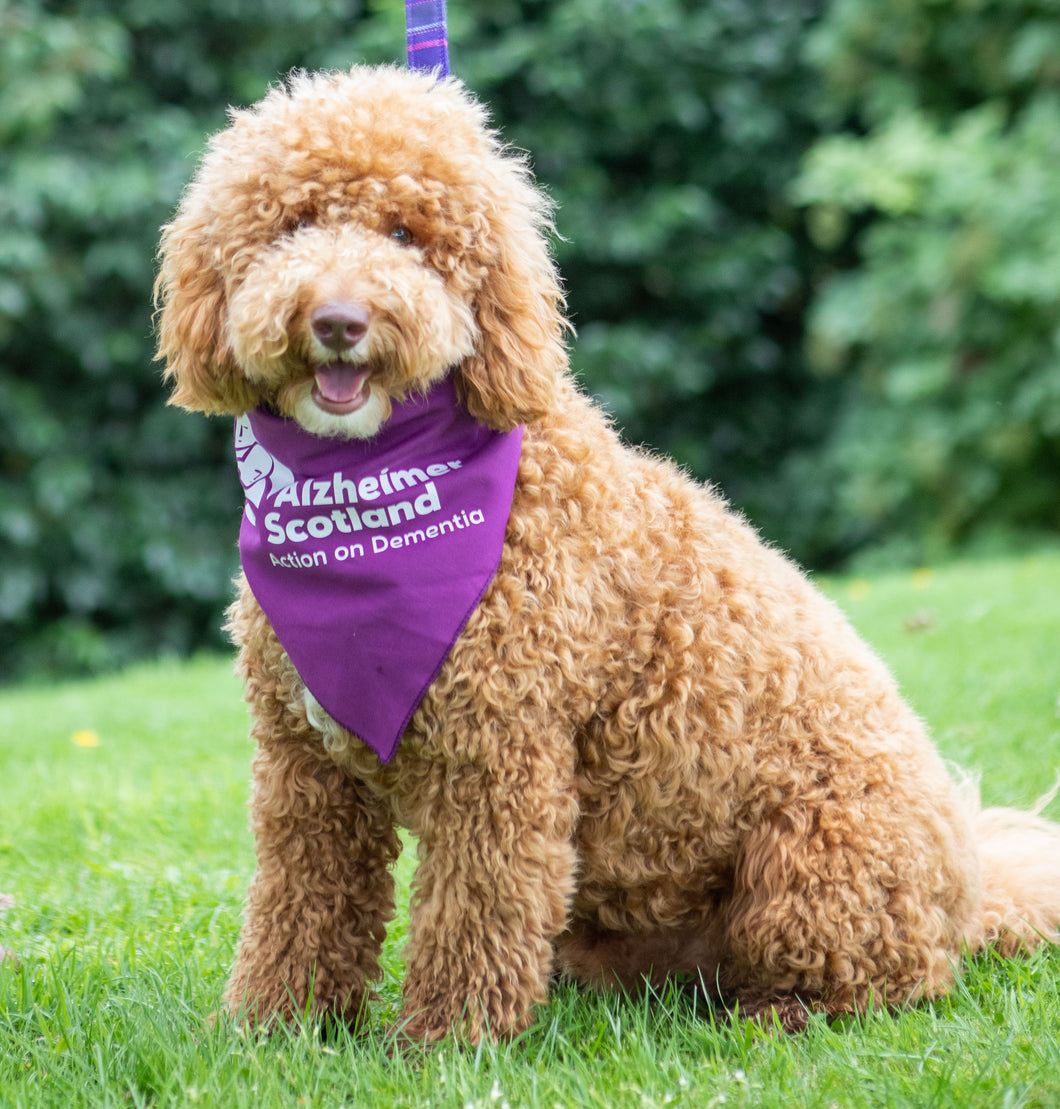 Alzheimer Scotland Dog Bandana